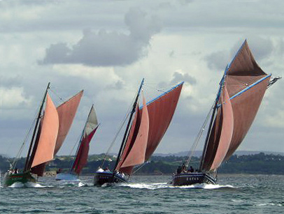 Plusieurs coquilliers en flotte dont la Bergère de Domrémy—Photo Raymond Brélivet